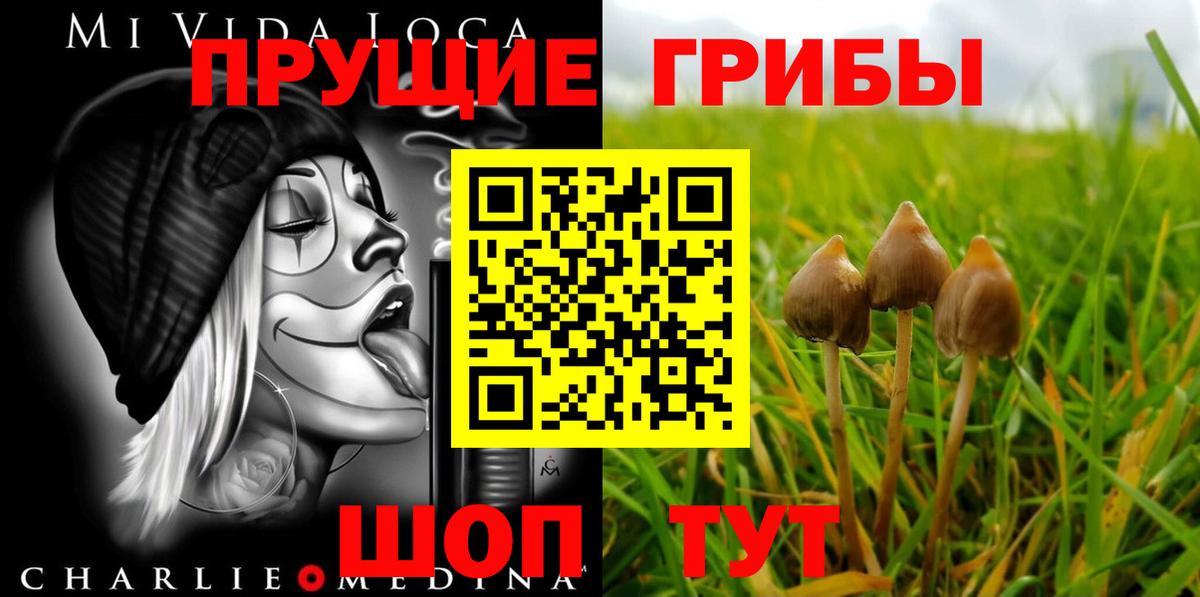 Псилоцибиновые грибы Cubensis  цена   Гуково  Вход с VPN 
