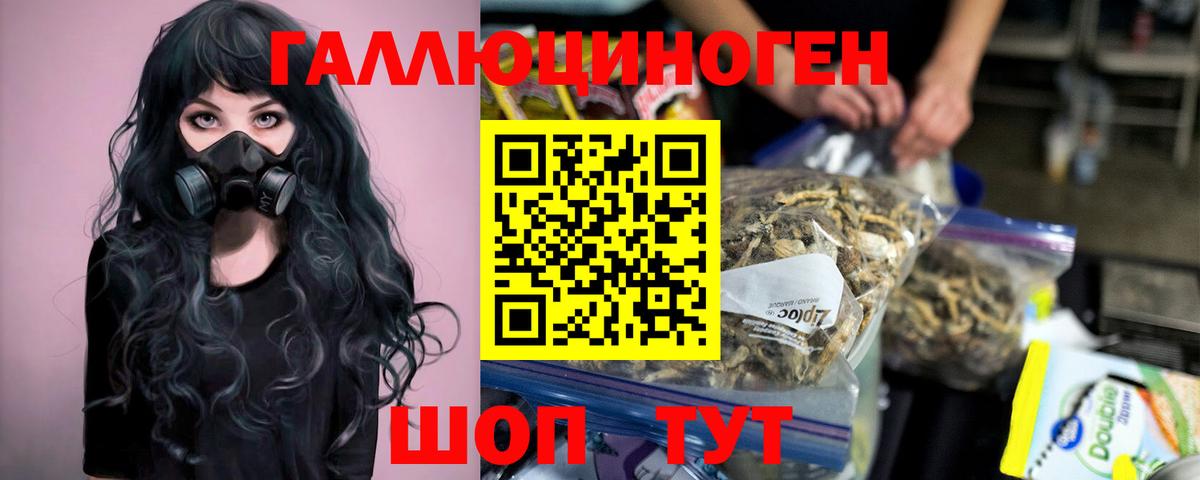 Псилоцибиновые грибы Psilocybine cubensis Гуково