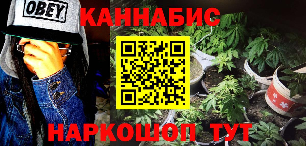 Каннабис план Гуково